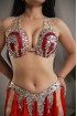 Professional bellydance costume (Classic 356A_1)